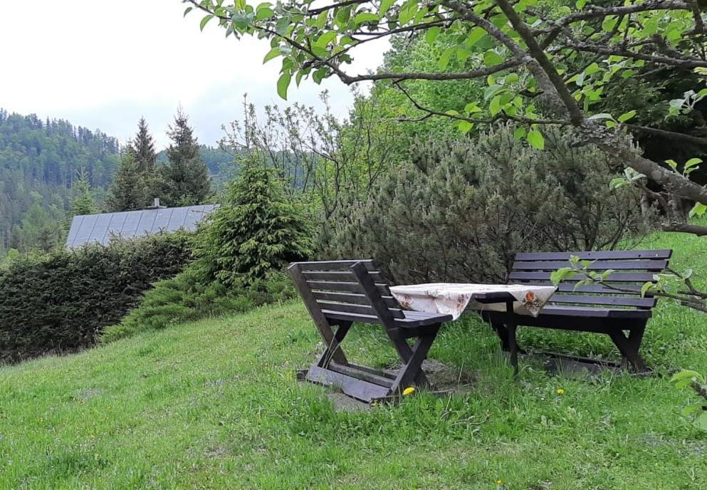 فيلا Fleurs De Myto Mýto pod Ďumbierom المظهر الخارجي الصورة